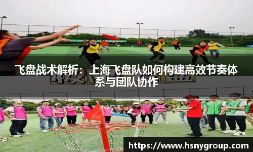 飞盘战术解析：上海飞盘队如何构建高效节奏体系与团队协作